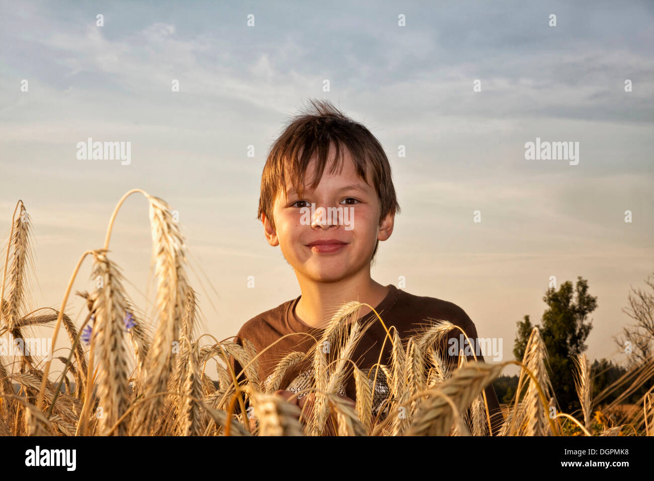 Boy standing in a barley field Stock Photo