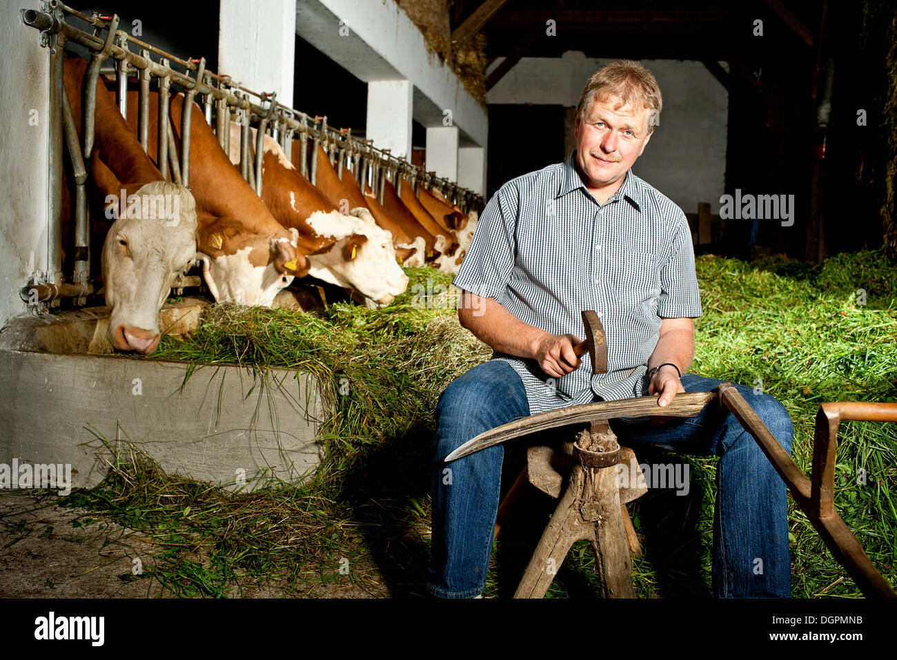 Farmer sharpening a scythe, Dengelstock, Austria, Europe Stock Photo