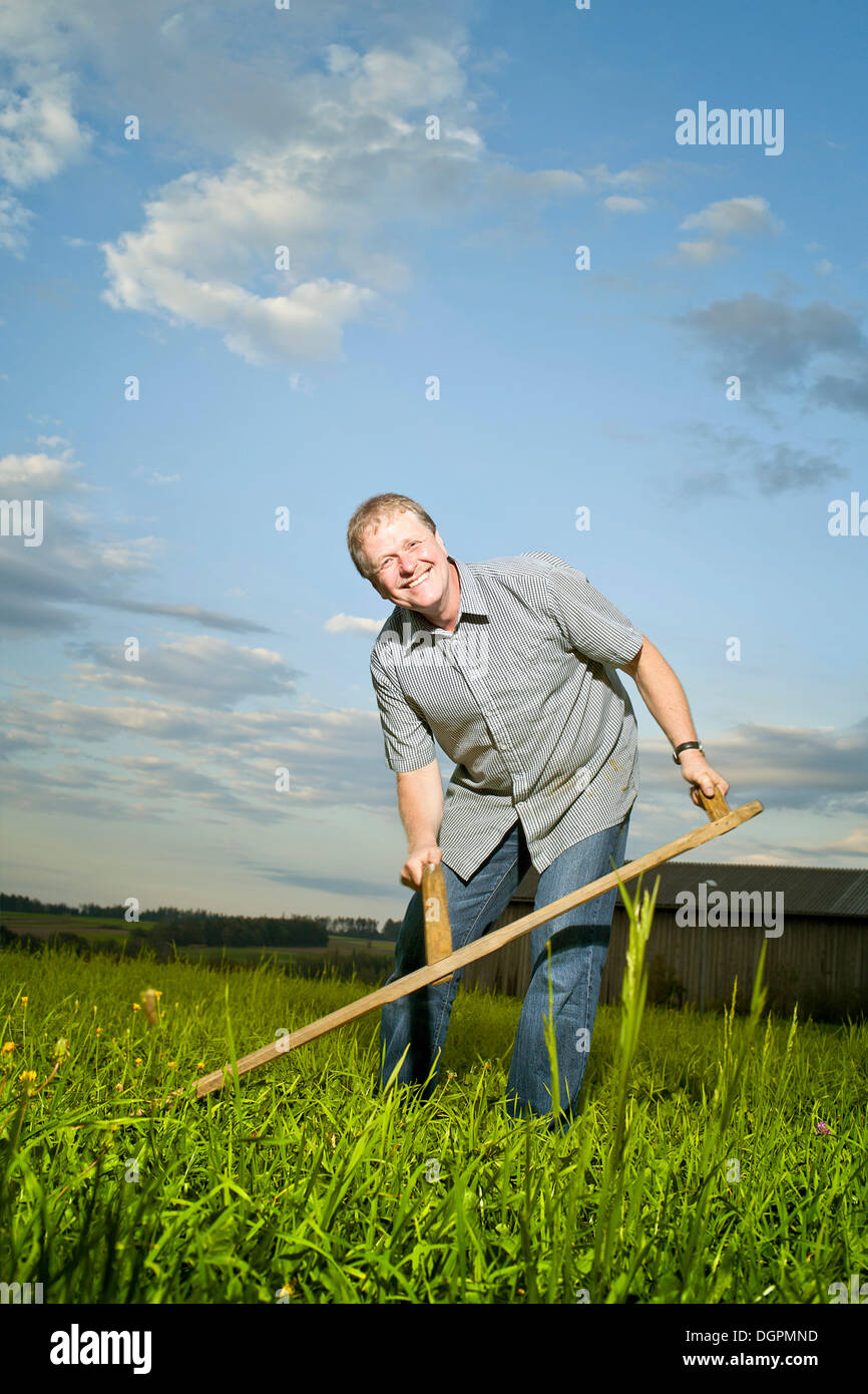 Farmer cutting grass with a scythe Stock Photo