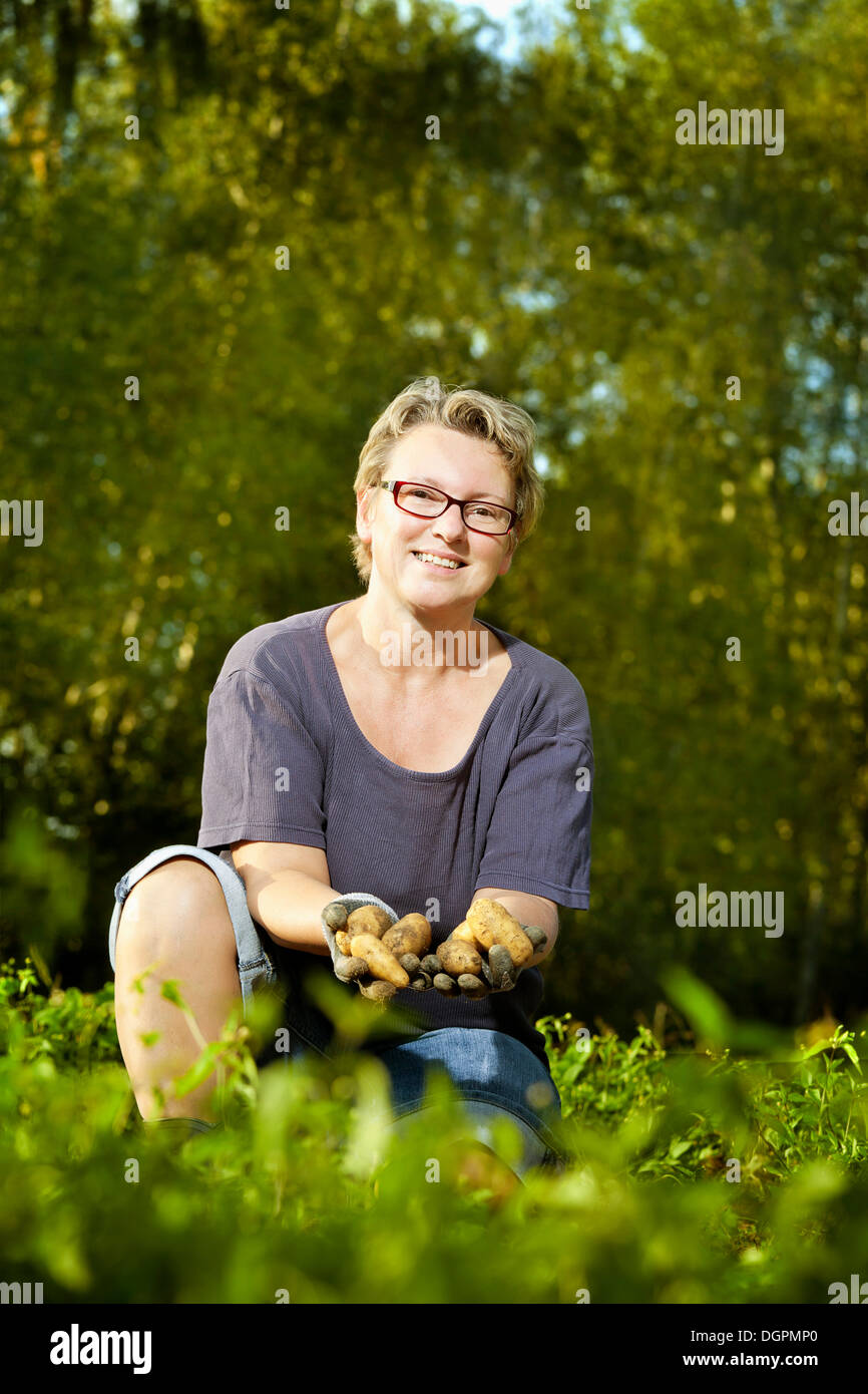 Woman harvesting potatoes Stock Photo