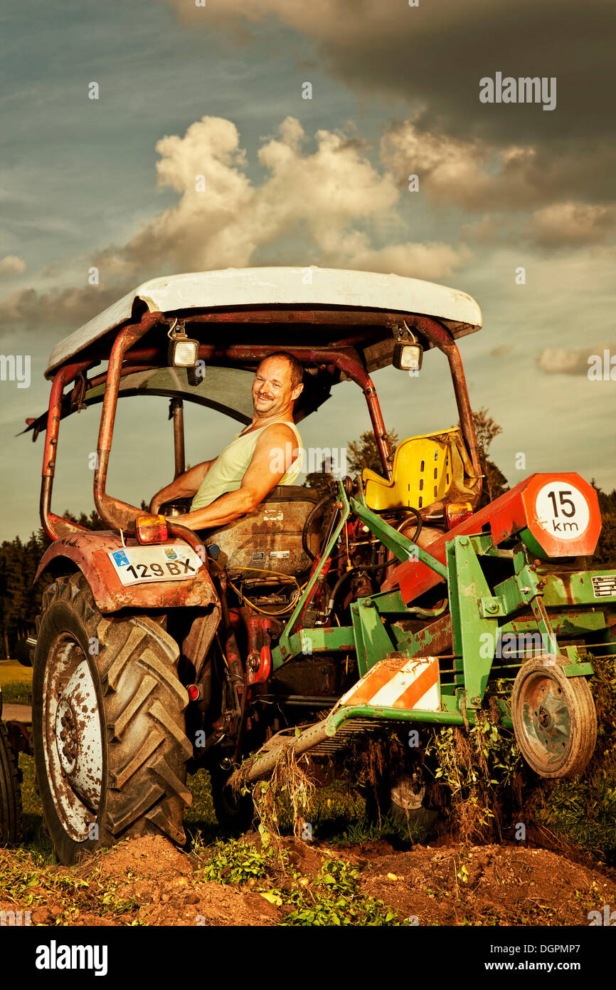 Man on a tractor, potato harvester Stock Photo