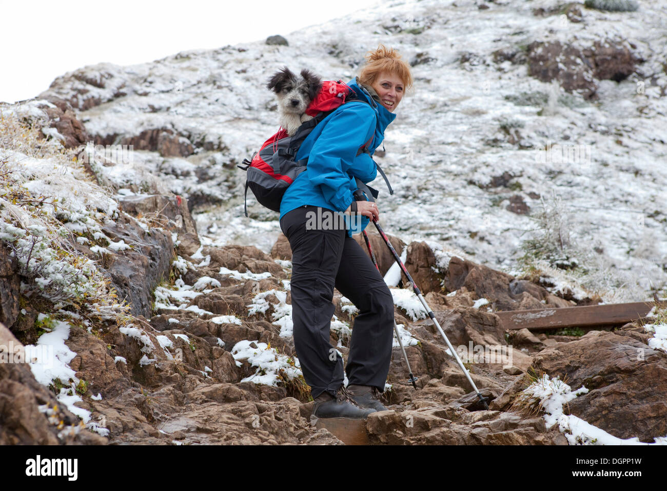 Woman carrying her dog in a backpack while climbing Wildseeloder