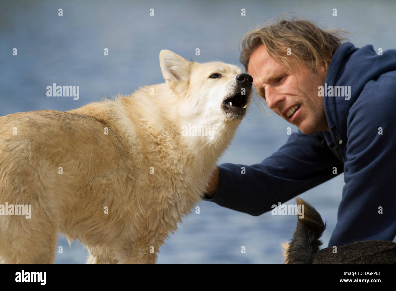 Why Does My Dog Only Bark At A Certain Person