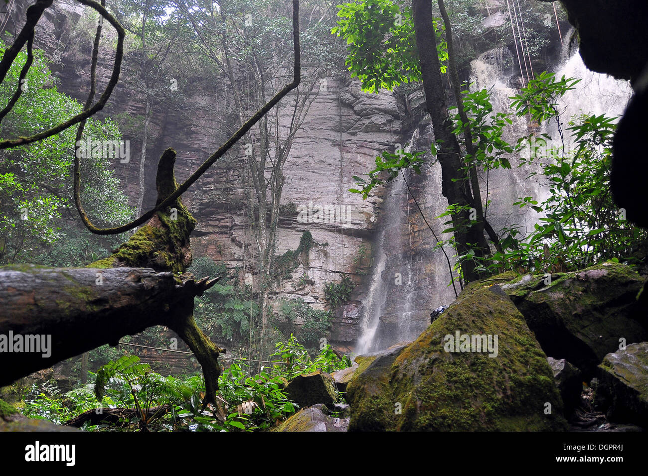 Subtropical rain forest with a waterfall, Chapada Diamantina, Bahia, Brazil, South America Stock Photo