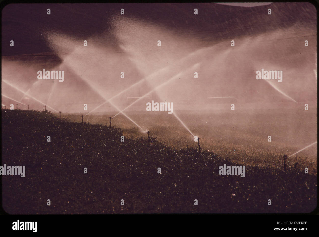 IRRIGATION ON EXPERIMENTAL FARM OPERATED BY EPA'S LAS VEGAS NATIONAL