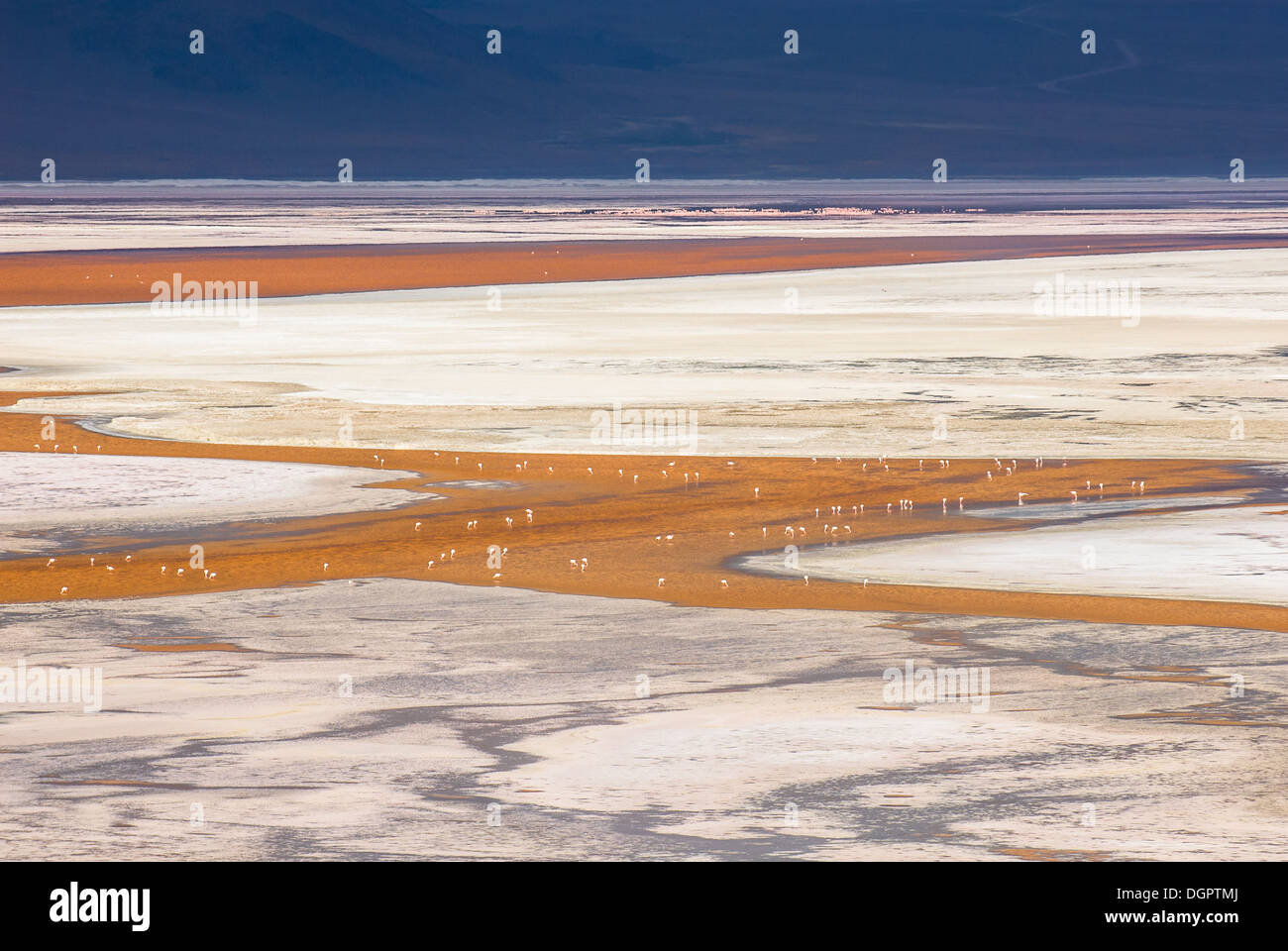 Laguna Colorada, Altiplano, Bolivia Stock Photo