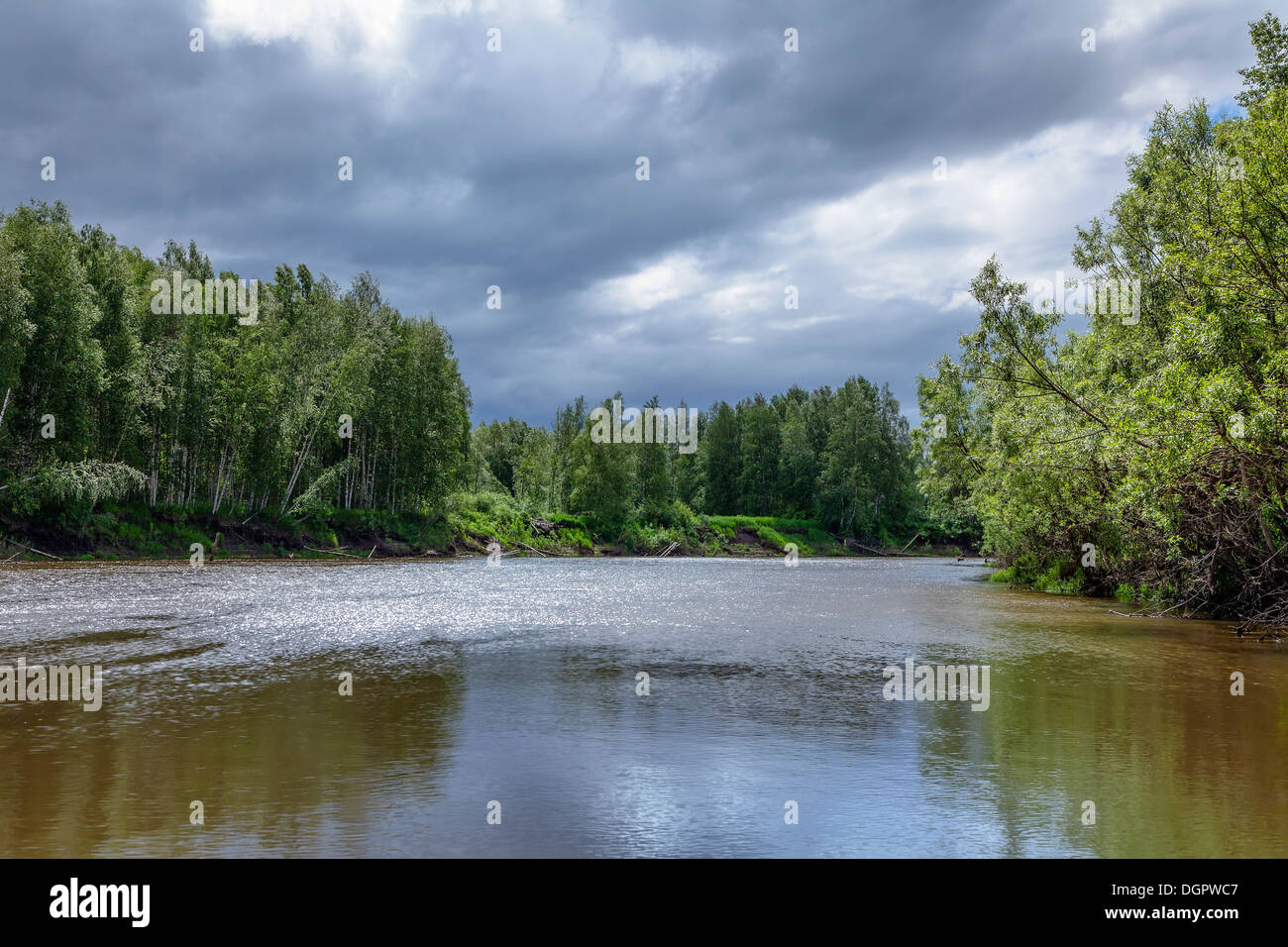 River in forest summer russia hi-res stock photography and images - Alamy