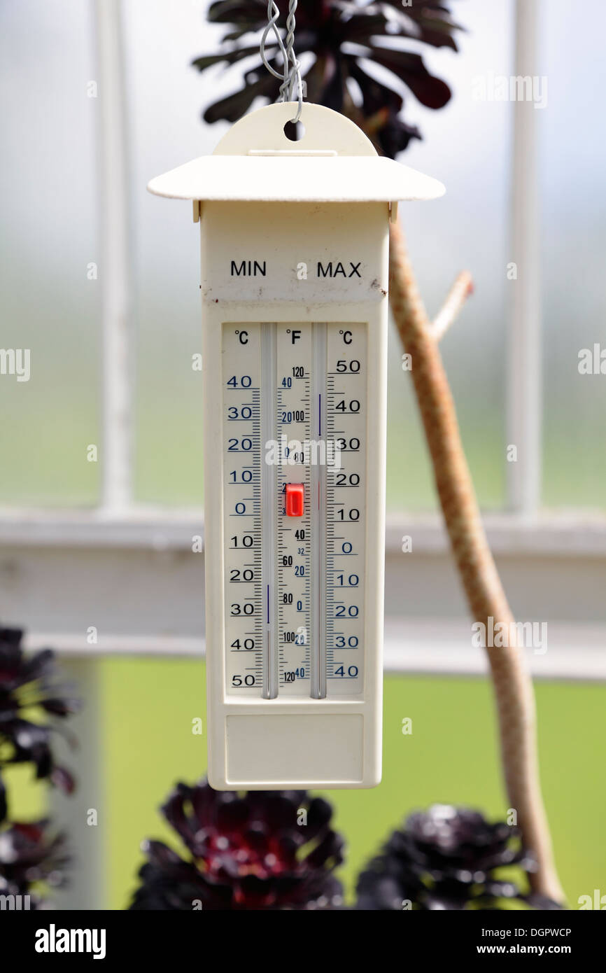 https://c8.alamy.com/comp/DGPWCP/a-min-max-thermometer-in-a-greenhouse-uk-DGPWCP.jpg
