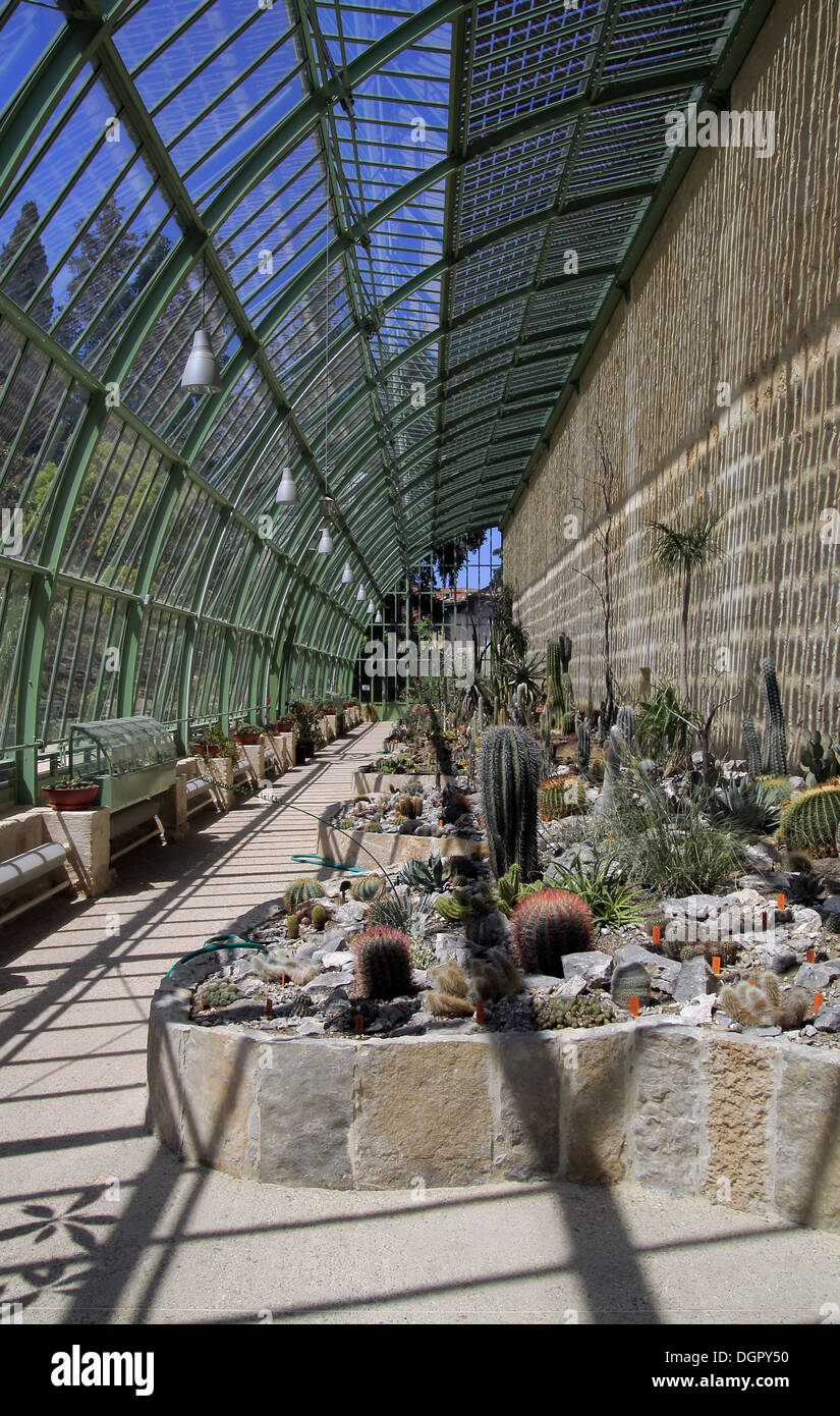 Botanic Gardens, Jardin des Plantes, Montpellier, Languedoc Roussillon, France Stock Photo