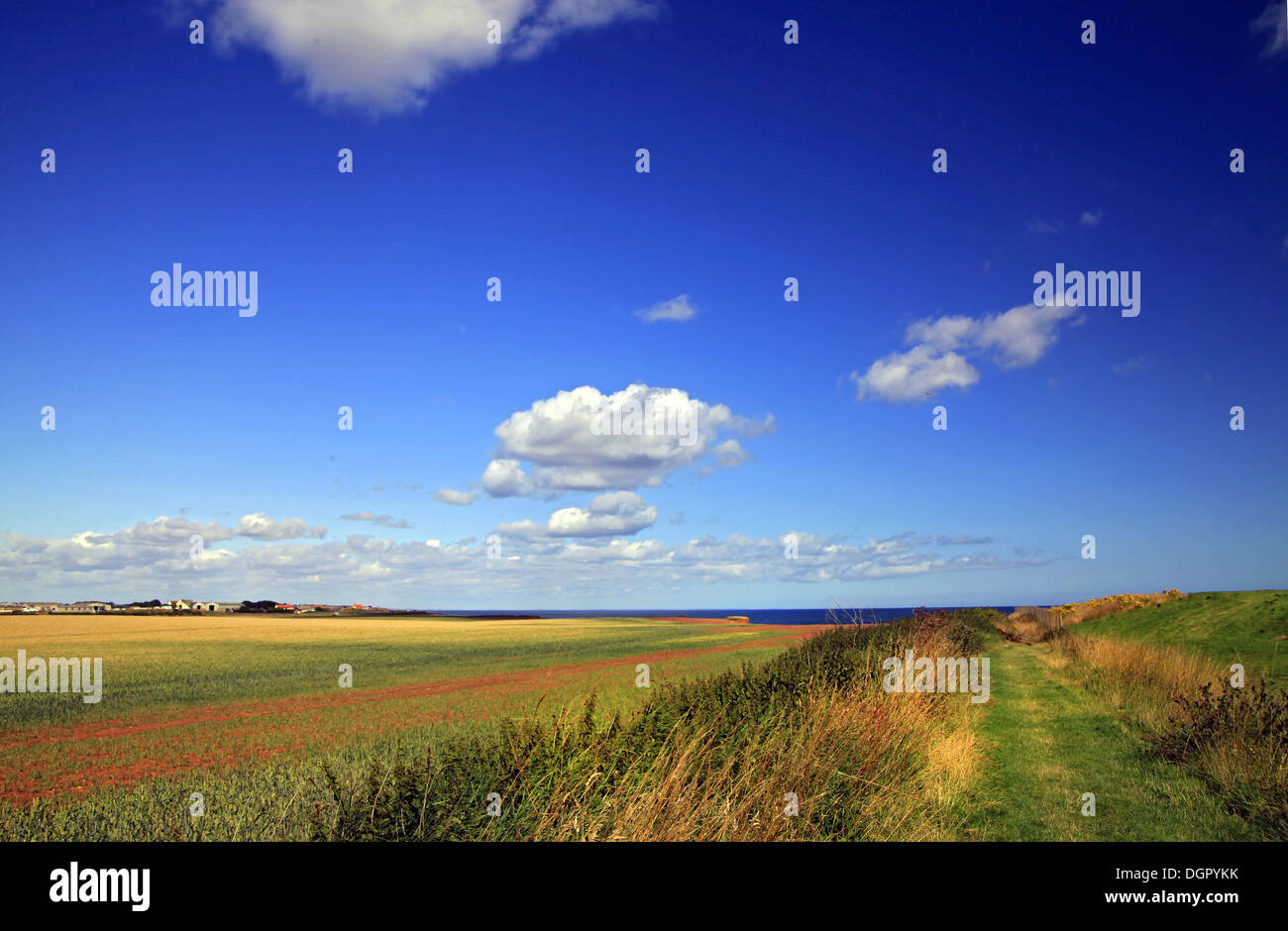 Seaside view hi-res stock photography and images - Alamy
