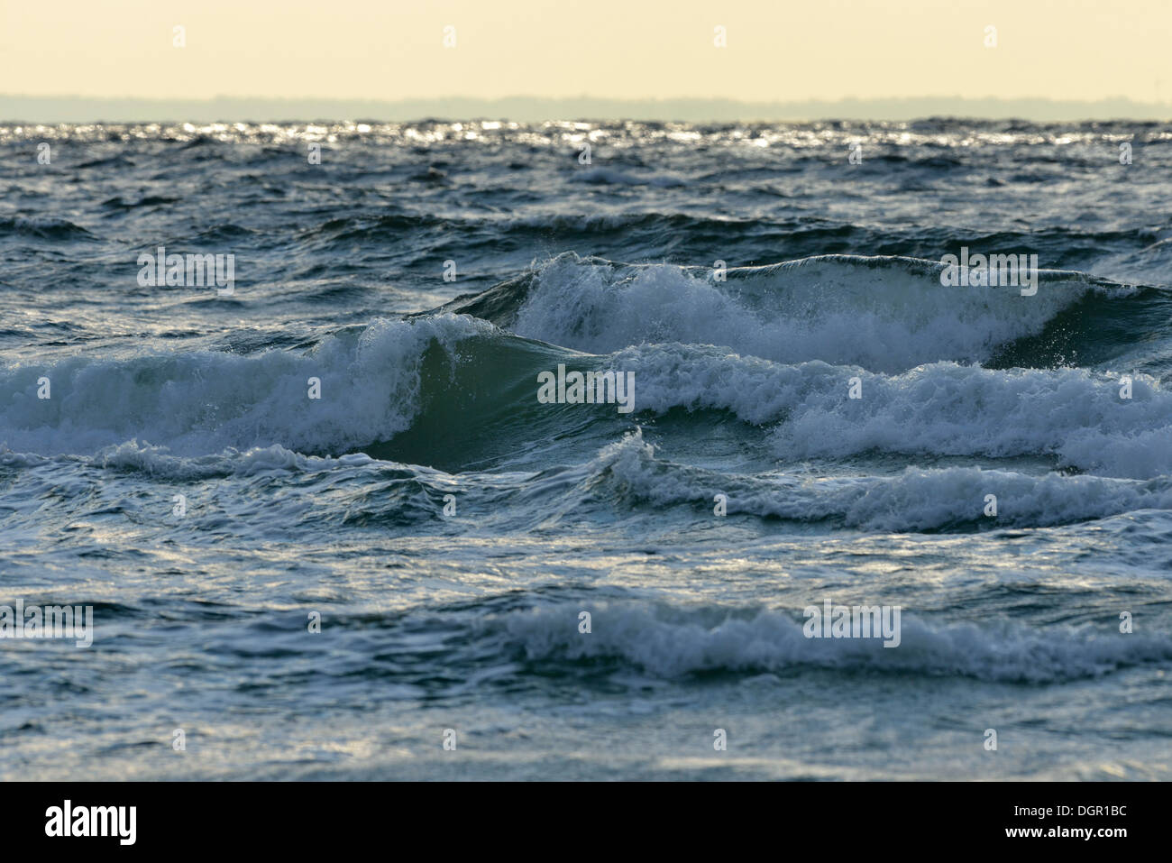 Waves and strong wind on the southern coast of Scania Stock Photo - Alamy