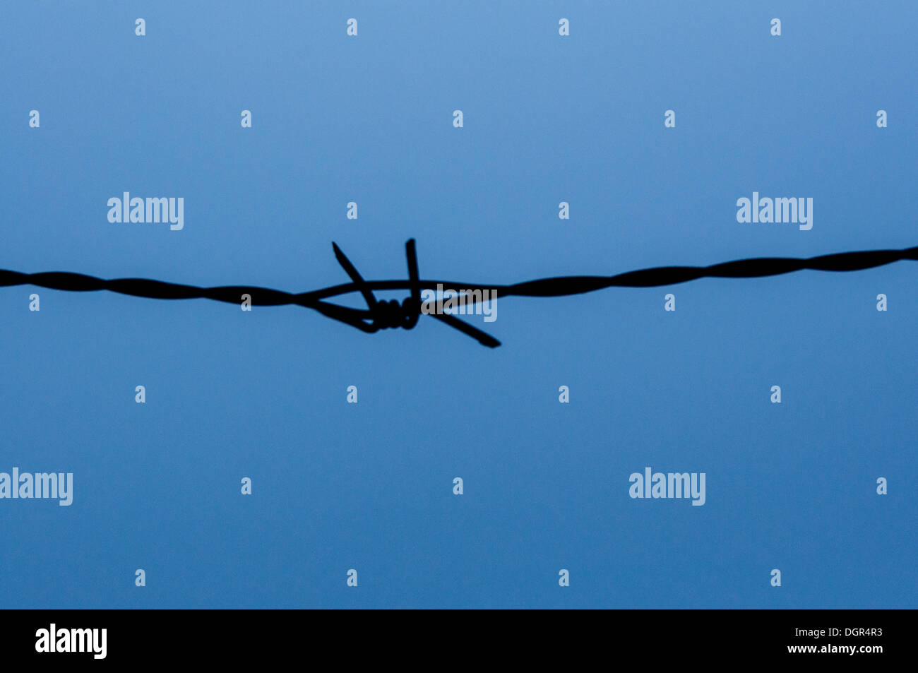 barbed wire over blue sky Stock Photo