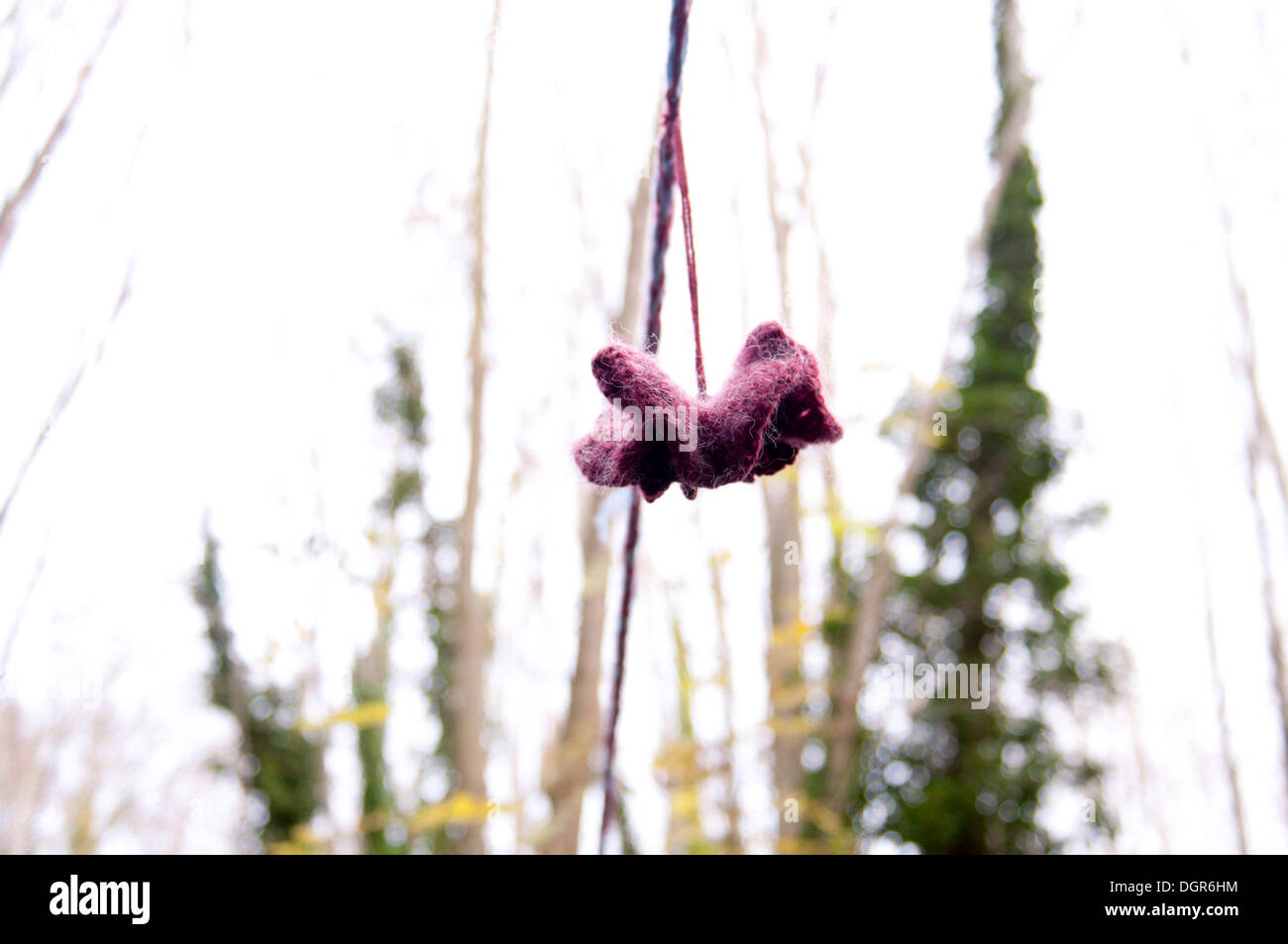 A knitted flower hanging in the forest from a tree. Stock Photo