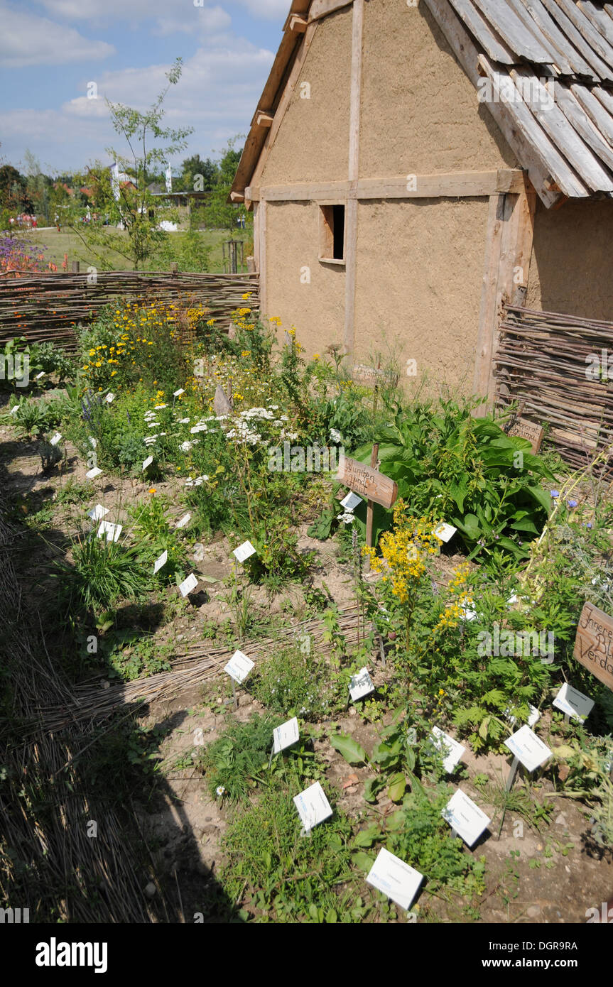 Medical herbs Stock Photo