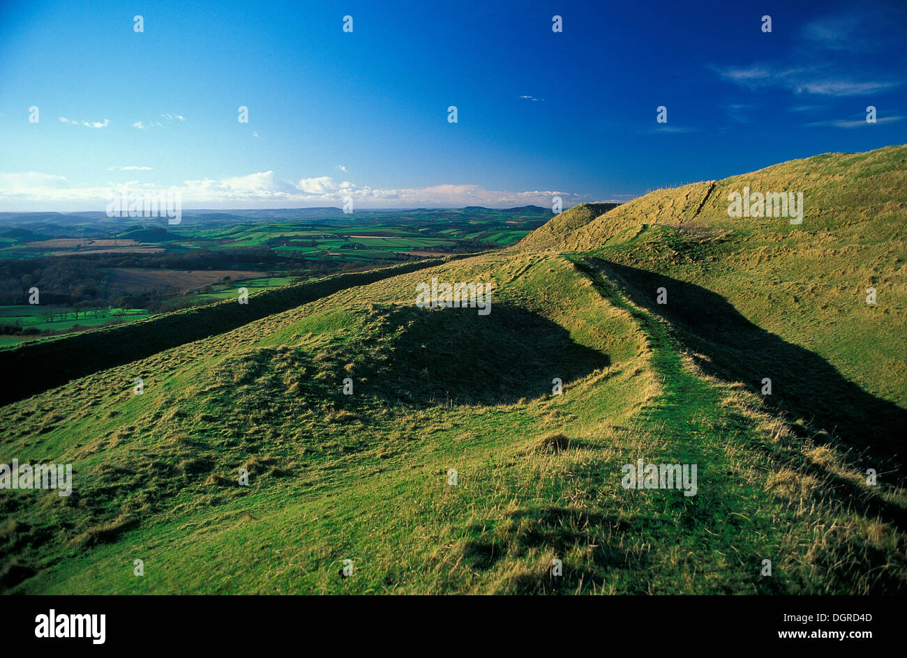 A view of Eggardon Hill Iron-age hillfort Dorset UK Stock Photo
