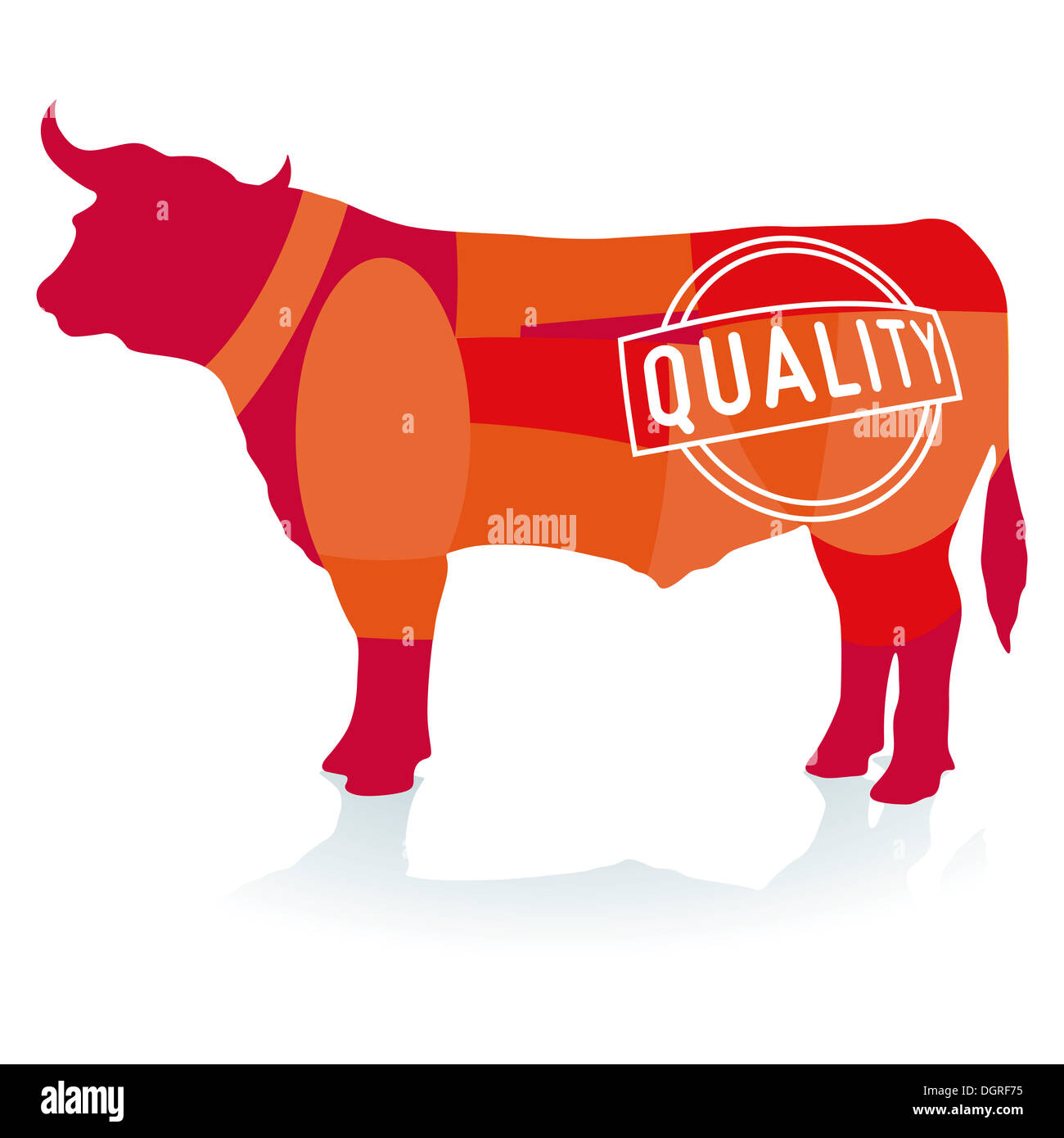 Quality Beef Stock Photo