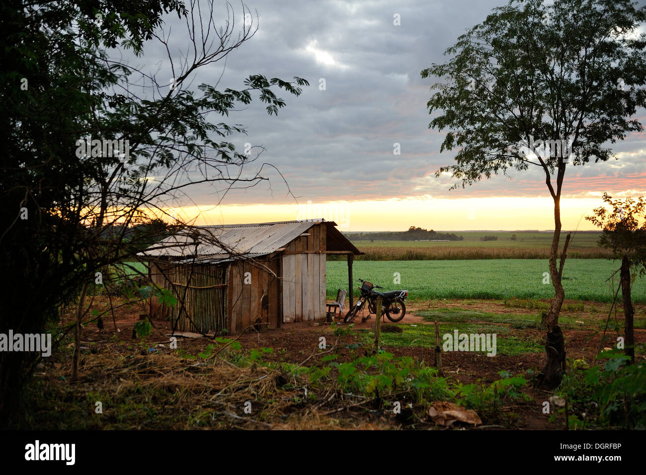 Paraguay, Caaguazu, Jaguary, Hut near fields in Guarani village Stock Photo