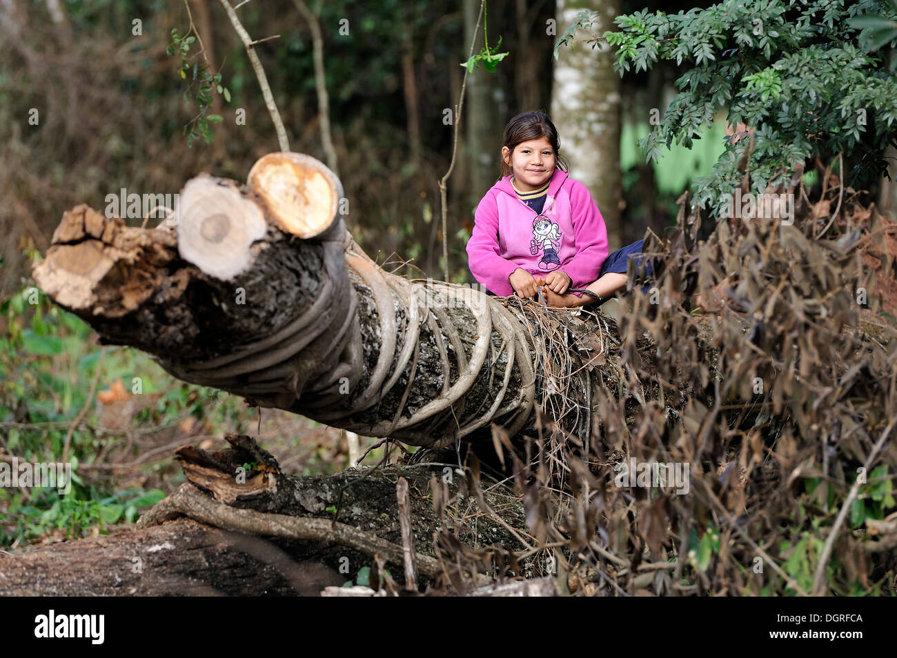 Paraguay, Caaguazu, Jaguary, Guarani girl sitting on tree trunk Stock Photo