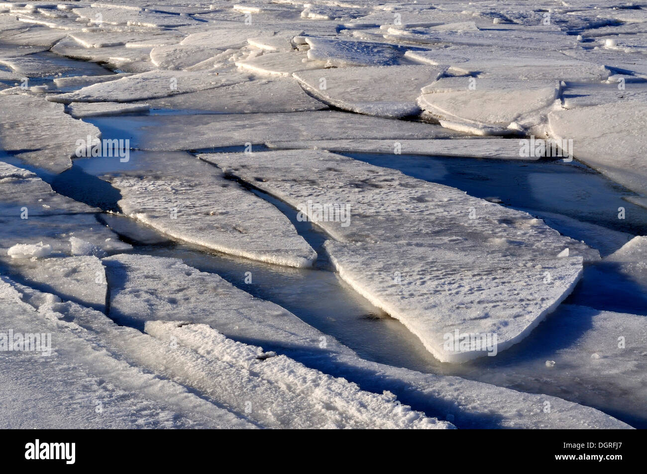 Ice floes on the Baltic Sea off Stein, Probstei, Ploen district, Schleswig-Holstein Stock Photo