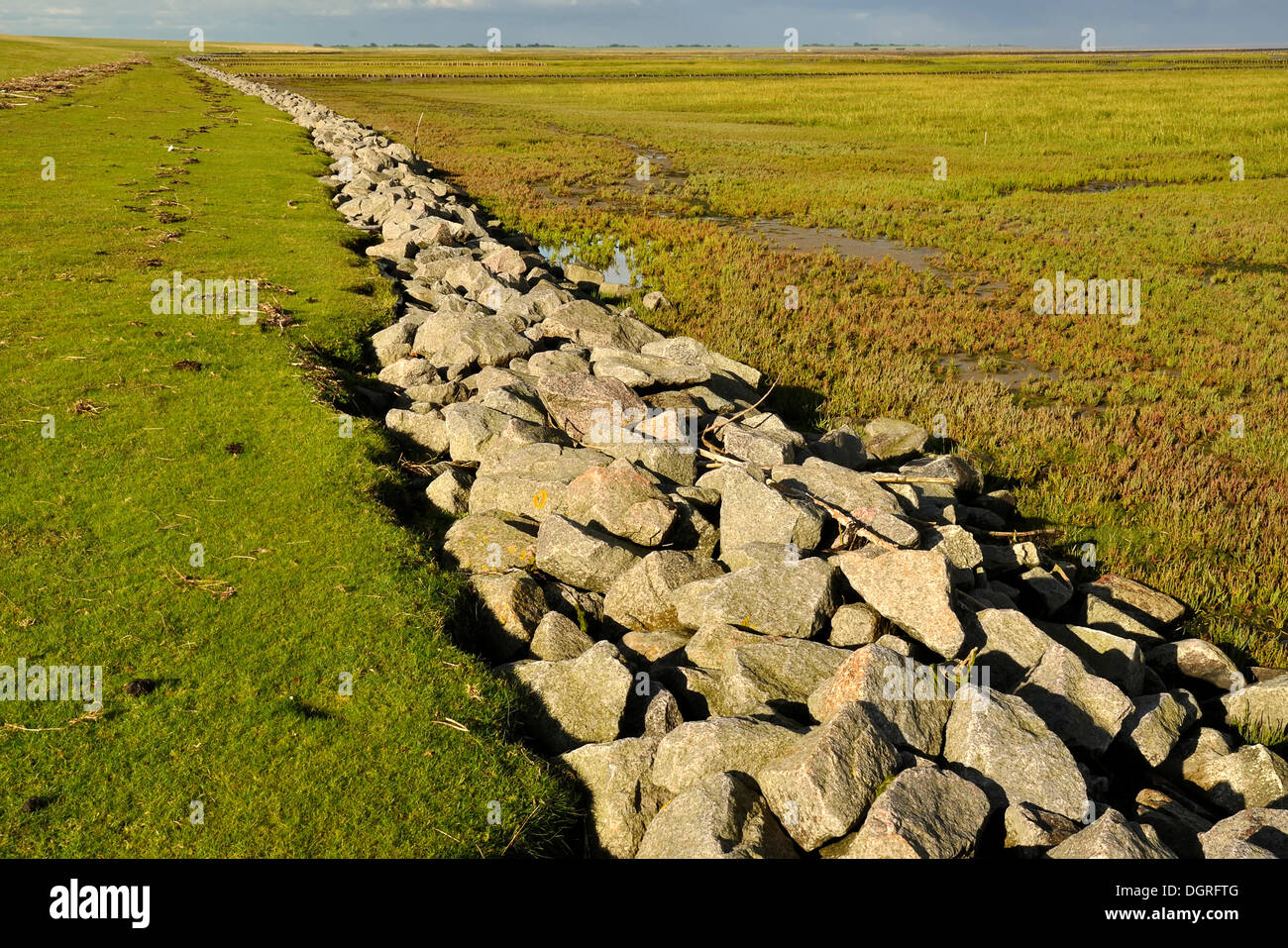 Riprap as a costal protection measure, Norderfriedrichskoog tidal flats ...
