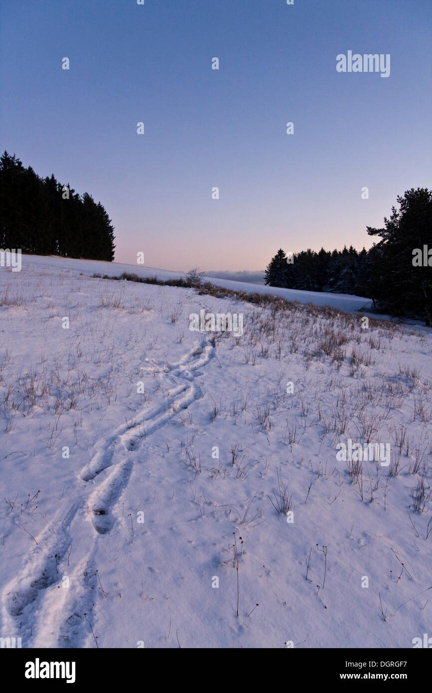 Footprints in snow Stock Photo Alamy