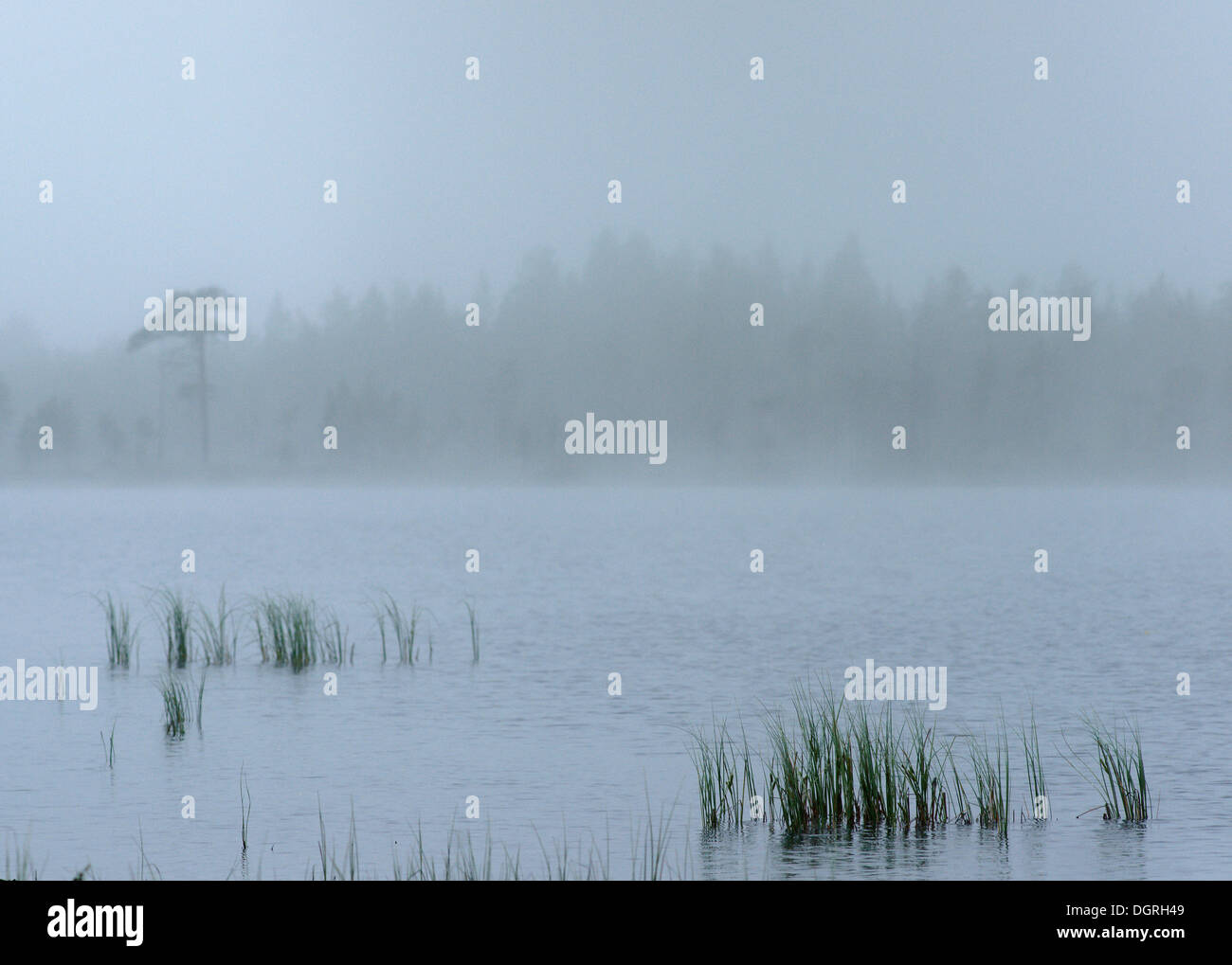 Lake, Karelia, Finland, Europe Stock Photo