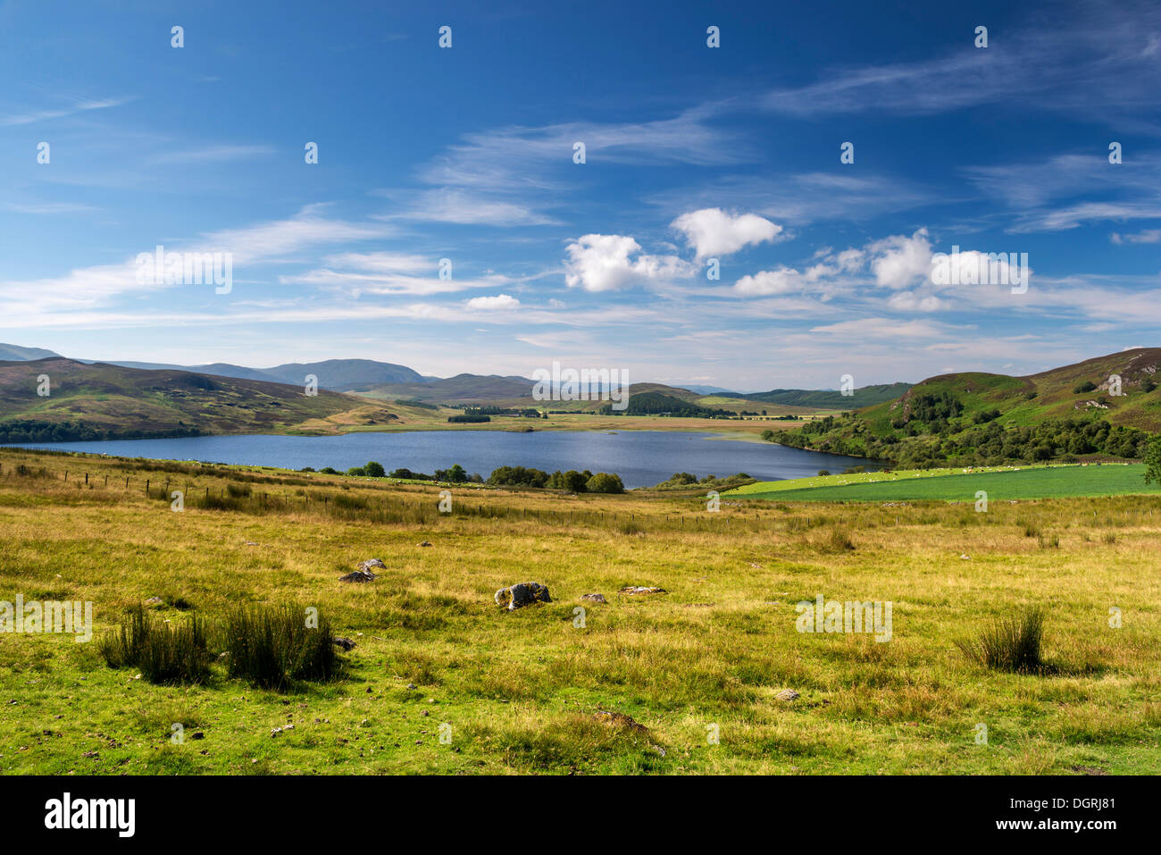 Grasslands in Great Glen North with Loch Ruthven, North West Highlands, Scotland, United Kingdom, Europe Stock Photo