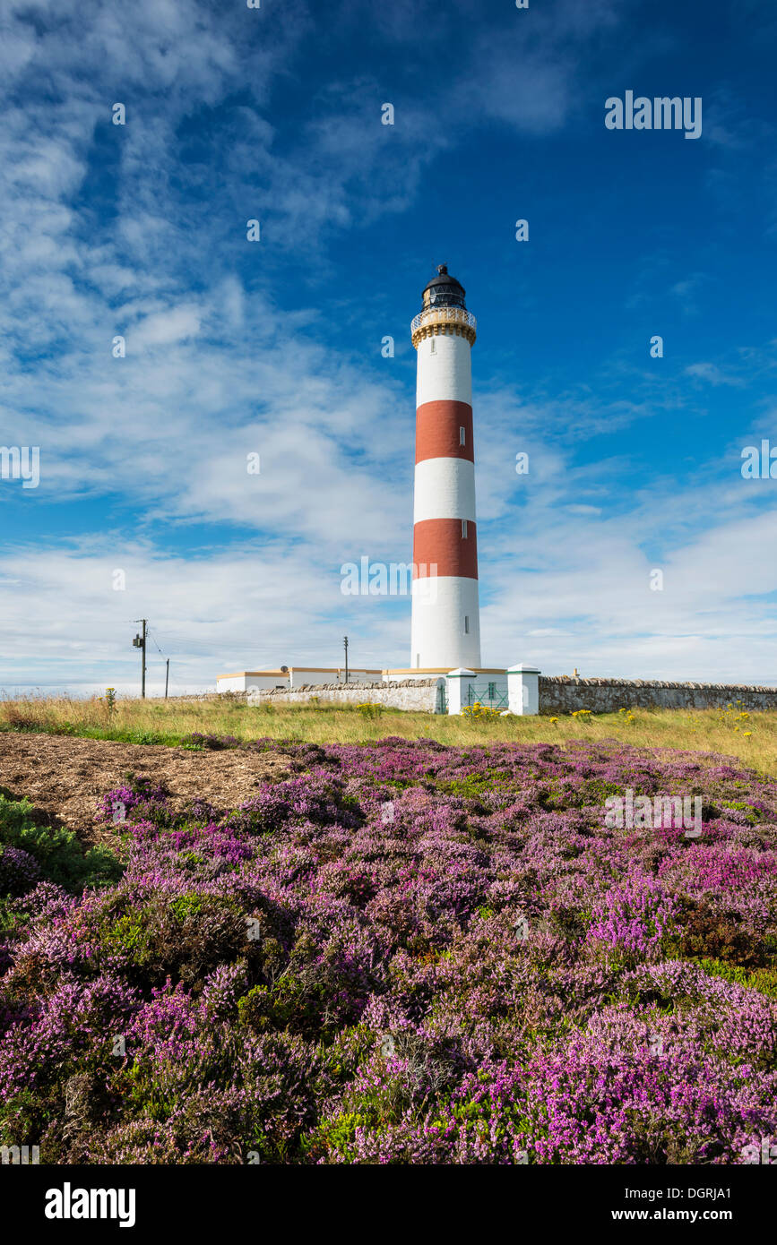 Lighthouse of Tarbat Ness, Wilkhaven, near Portmahomack, northern coast of Scotland, Easter Ross, United Kingdom, Europe Stock Photo