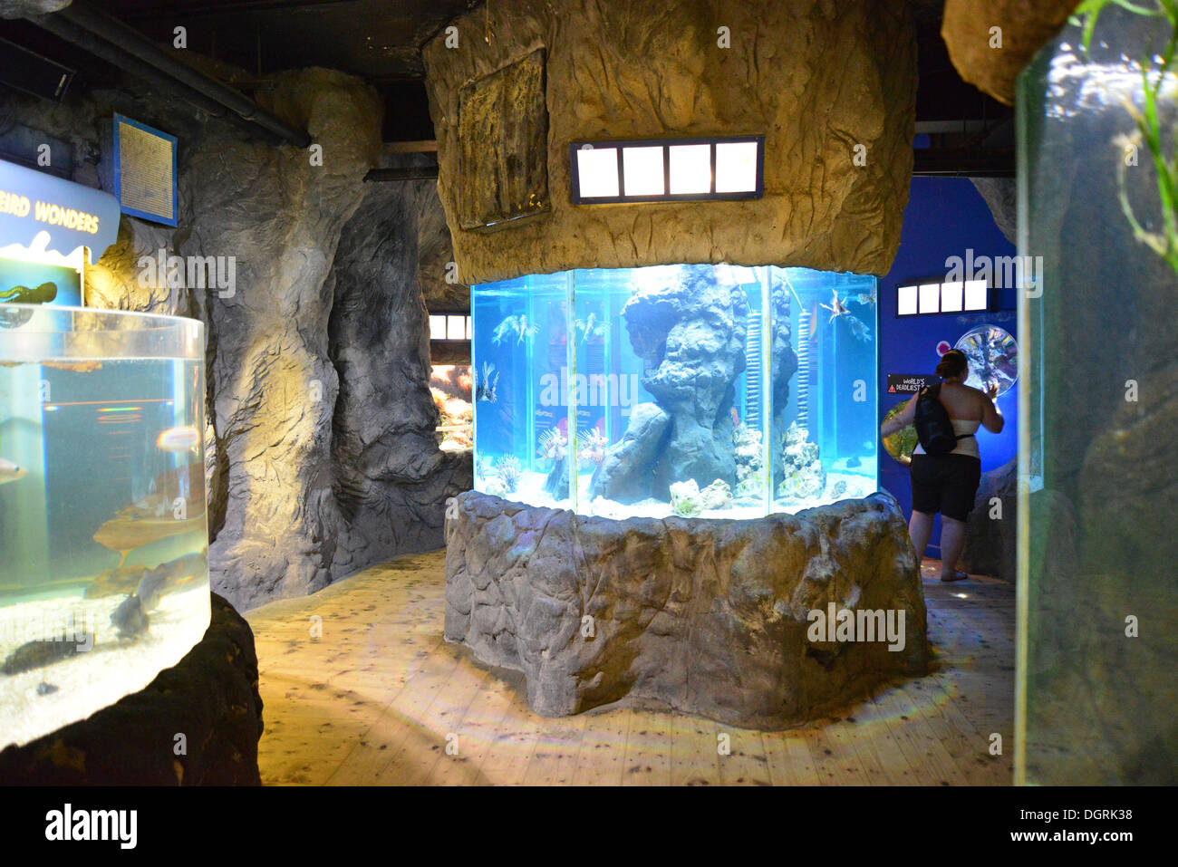 Custom Aquariums - Crystal Clear Aquariums