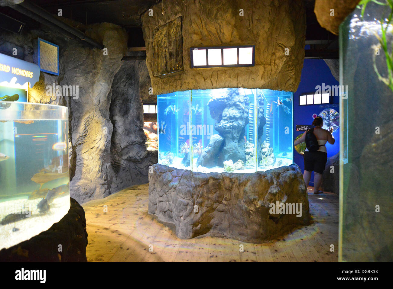 Fish tanks in Blue Reef Aquarium, Towan Beach promenade, Newquay, Cornwall, England, United Kingdom Stock Photo