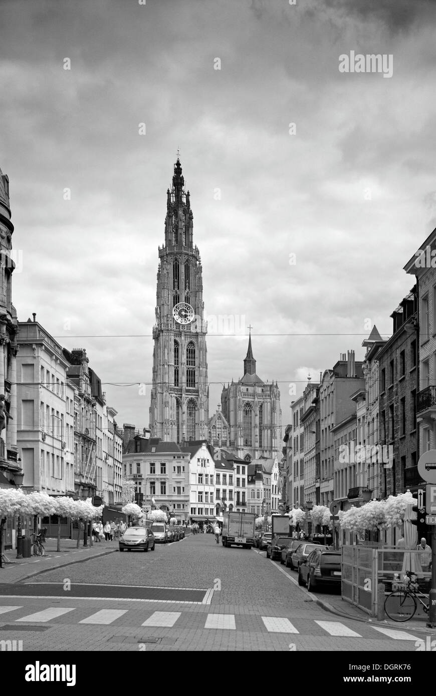 City center with view of the cathedral, Antwerp, Flanders, Belgium, Europe Stock Photo