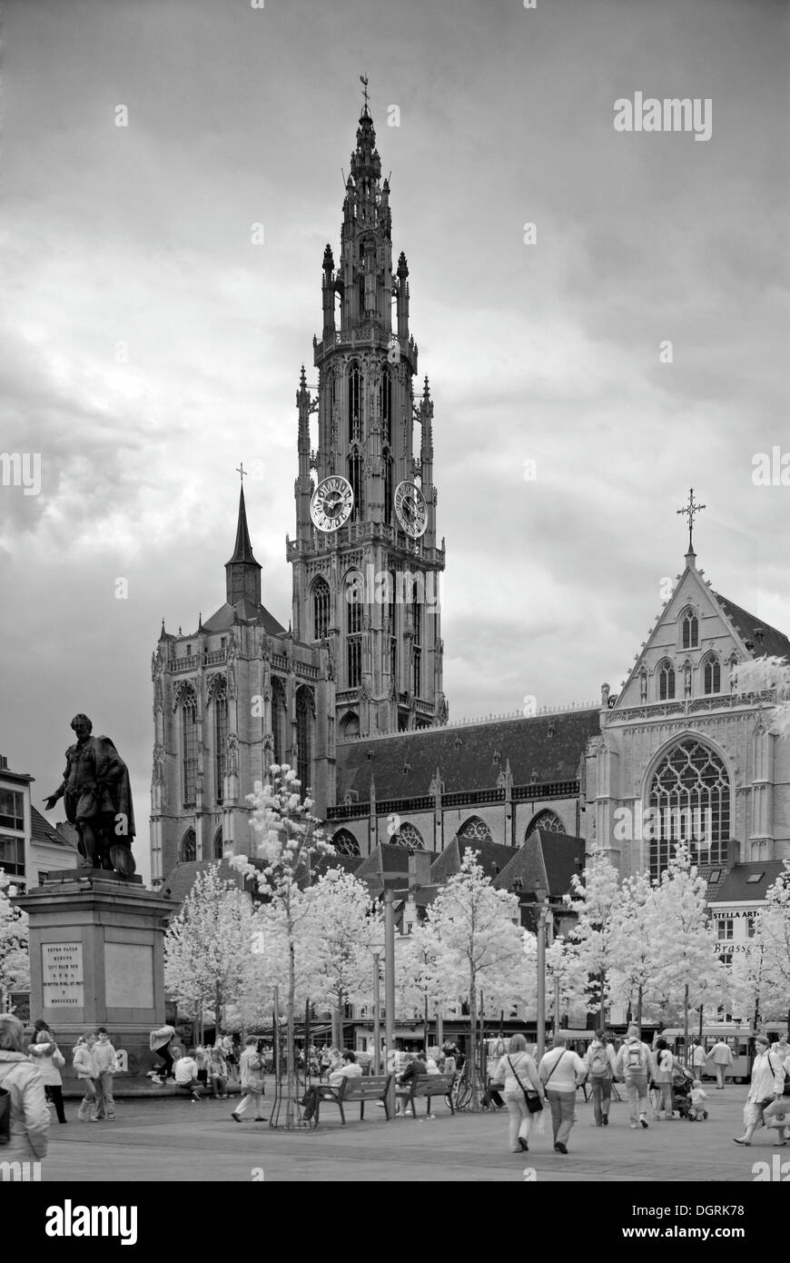 Antwerp Cathedral, Antwerp, Flanders, Belgium, Europe Stock Photo