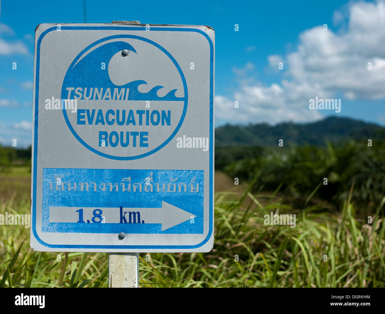 Is there a tsunami warning phuket