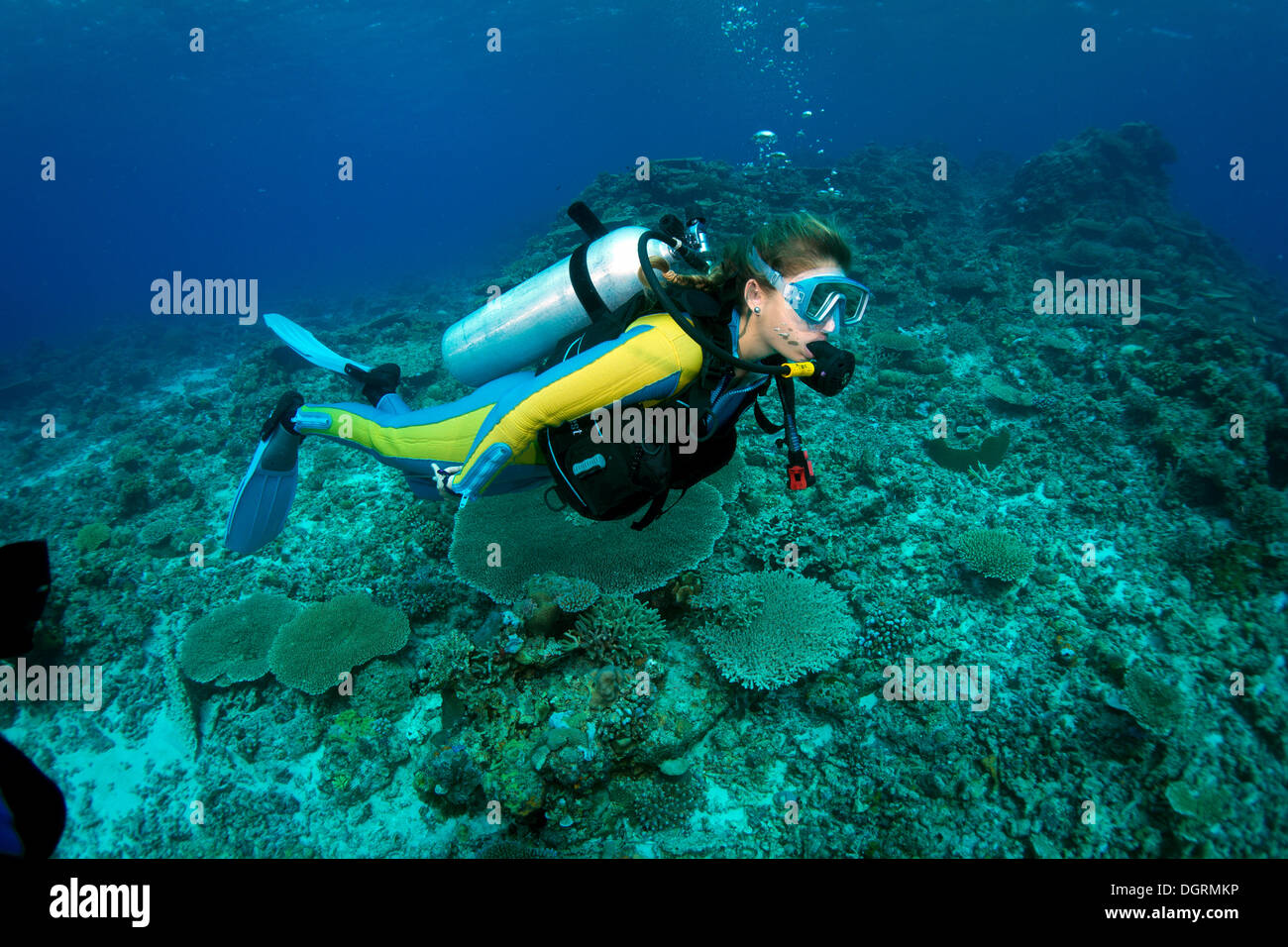 Scuba diver swimming in a coral reef, Philippines, Asia Stock Photo
