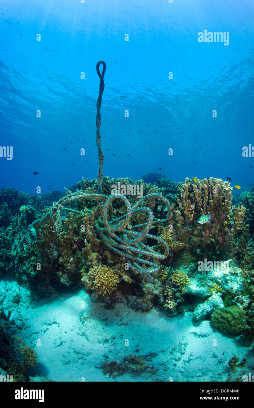 A torn anchor rope at a coral reef, Philippines, Asia Stock Photo