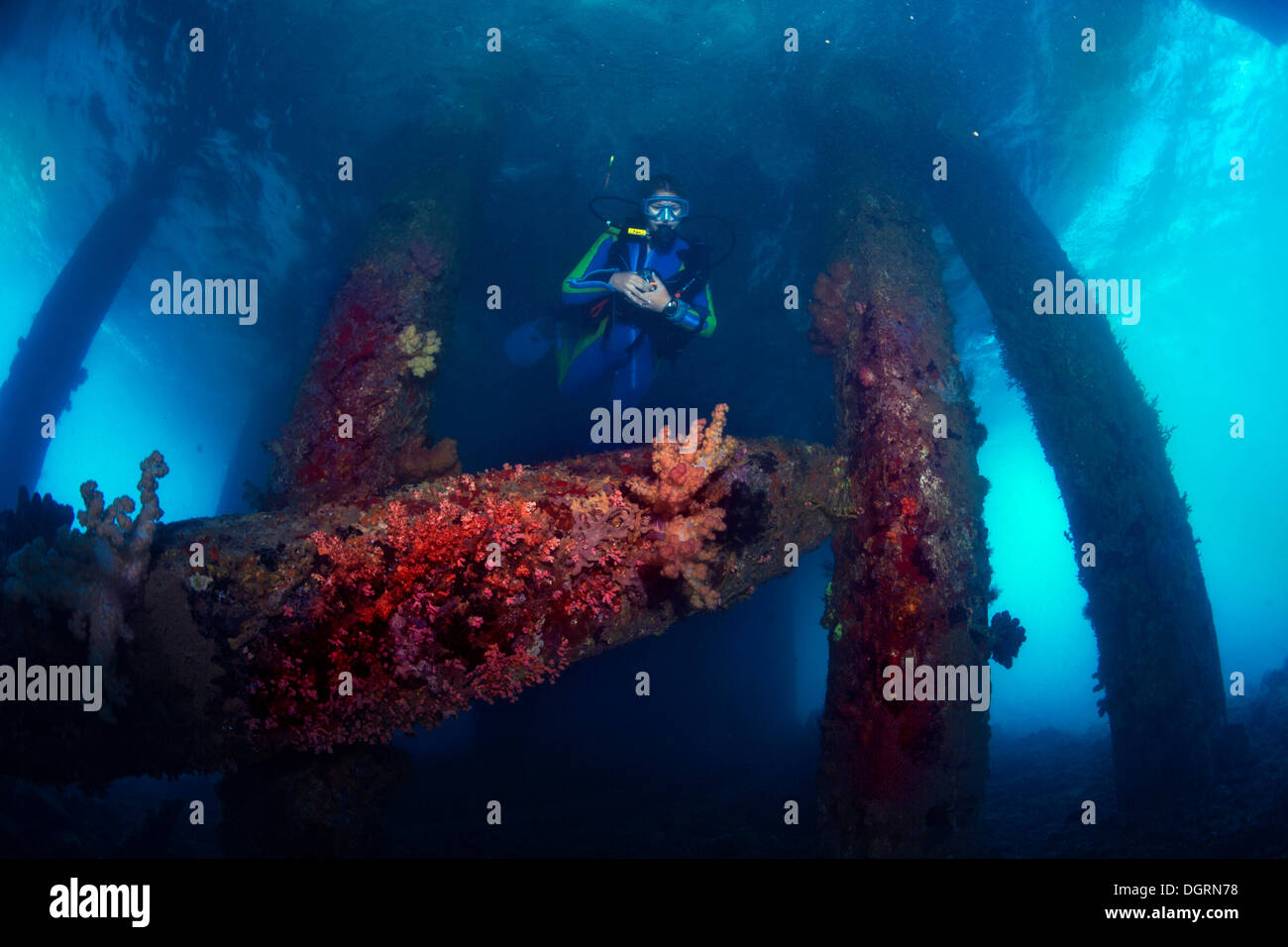 Old abandoned pier for tankers and supply boats, overgrown with corals, diver diving beneath the pier, Padre Burgos Stock Photo