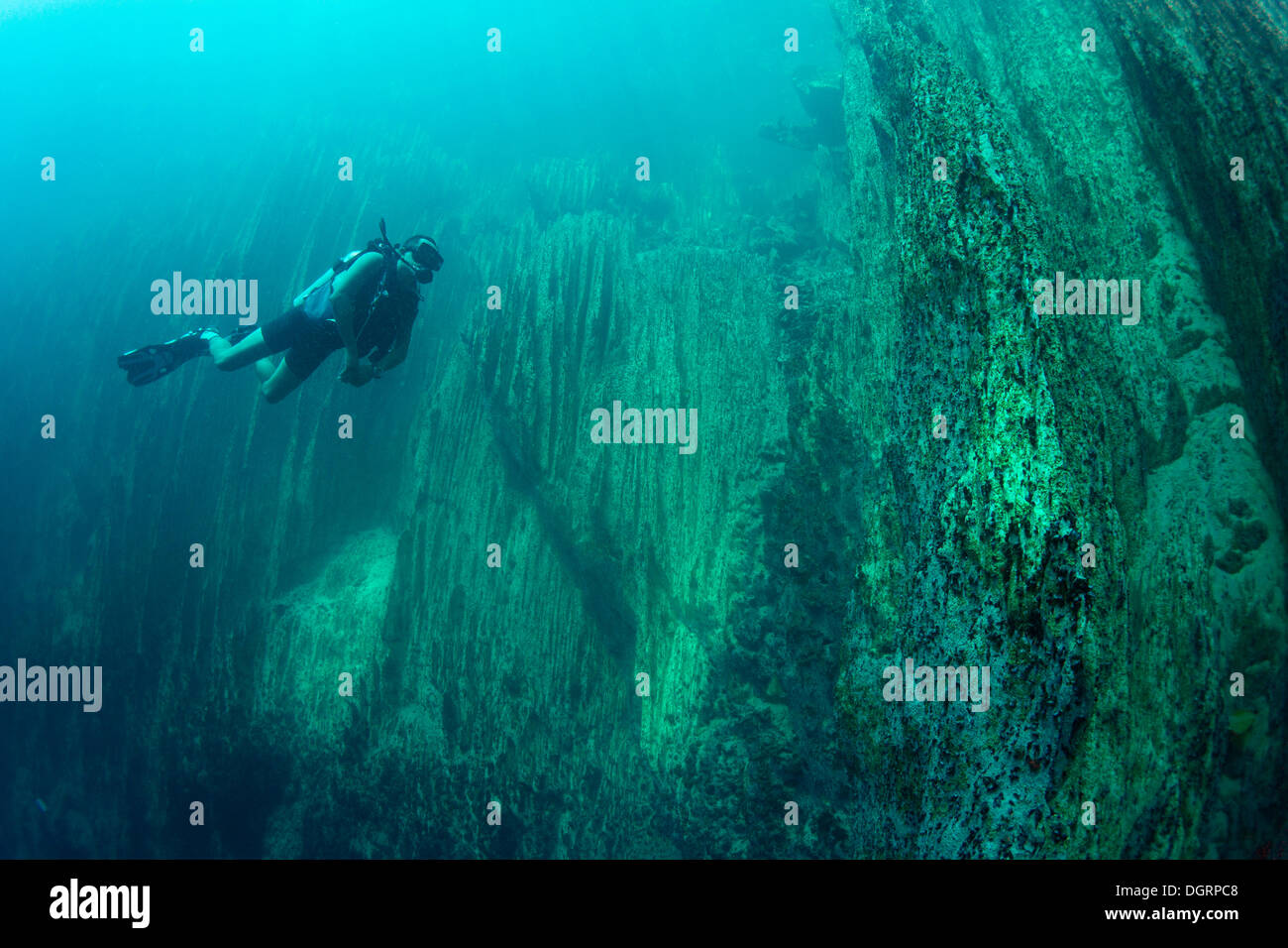 Scuba diver in Barracuda Lake, Bancuan, Naturschutzgebiet Coron, Calamian Islands, Palawan, Mimaropa, Philippines Stock Photo