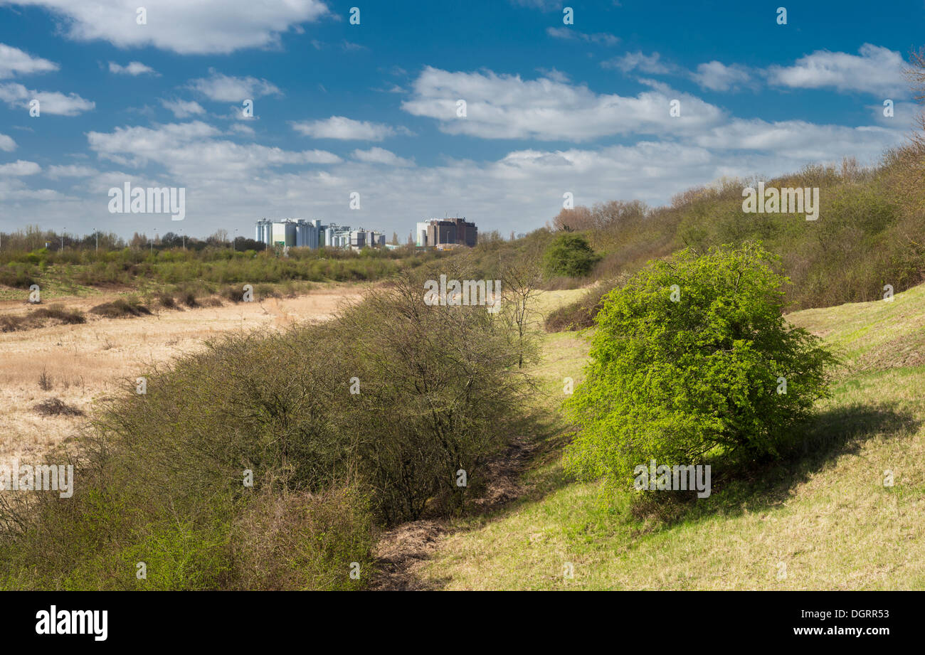 Springtime at Star Pit Nature Reserve, Dogsthorpe, Peterborough, Cambridgeshire Stock Photo