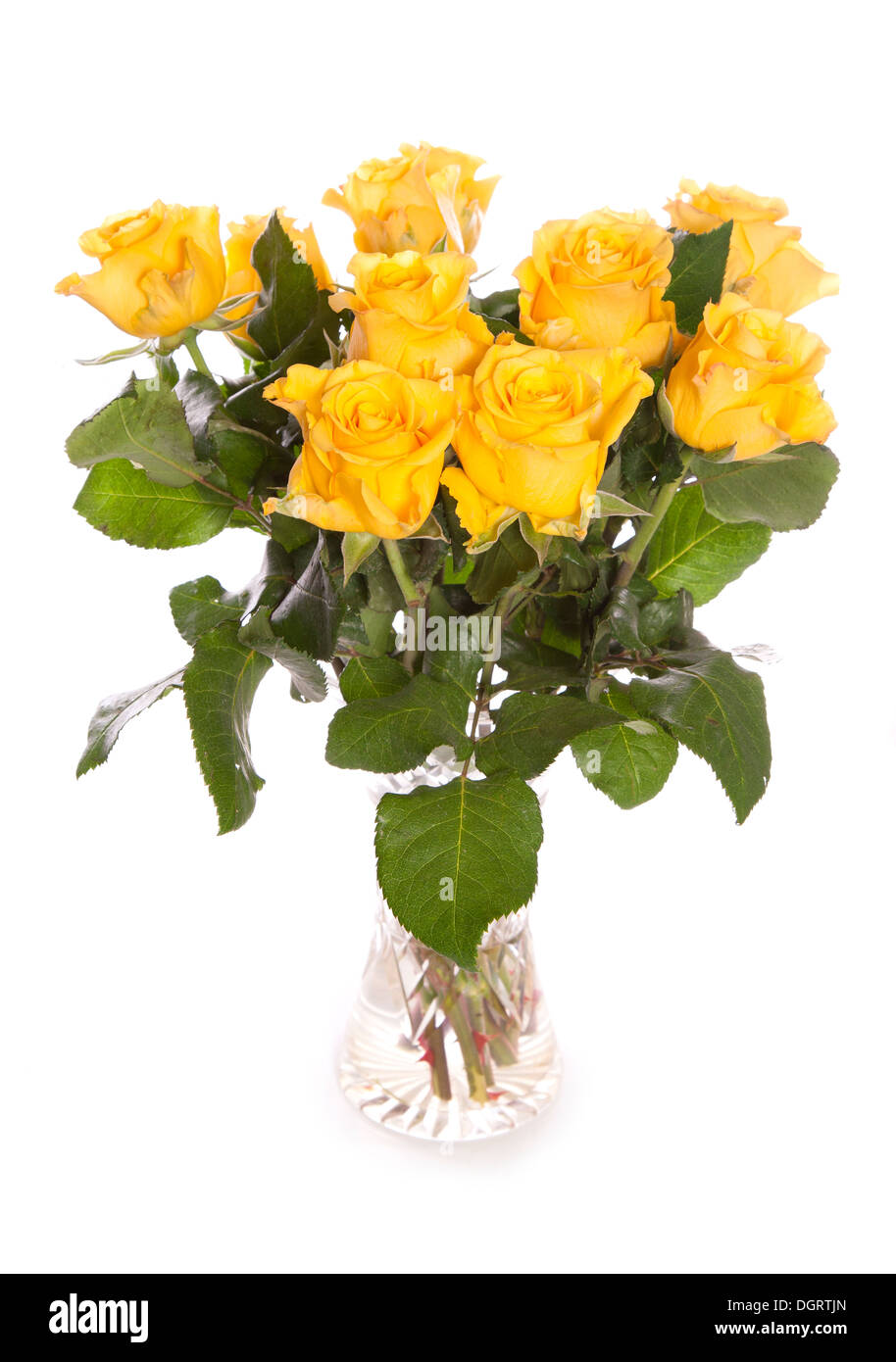 Bunch of yellow roses in a vase white background Stock Photo