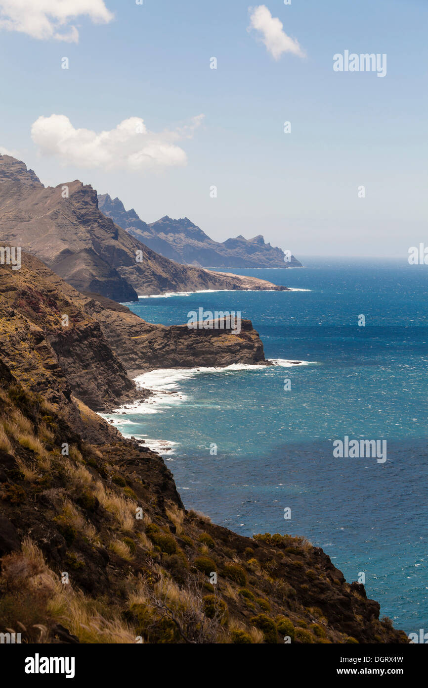 Cliff coast, Agaete, Gran Canaria, Kanarische Inseln, El Risco, Spain Stock Photo
