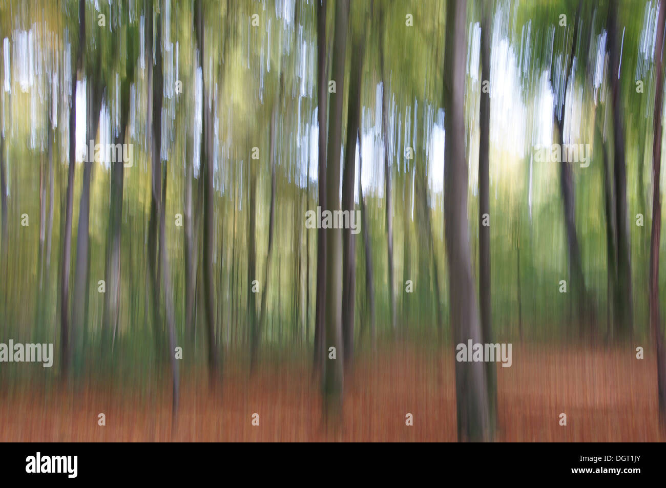 Abstract landscape image trees hi-res stock photography and images - Alamy
