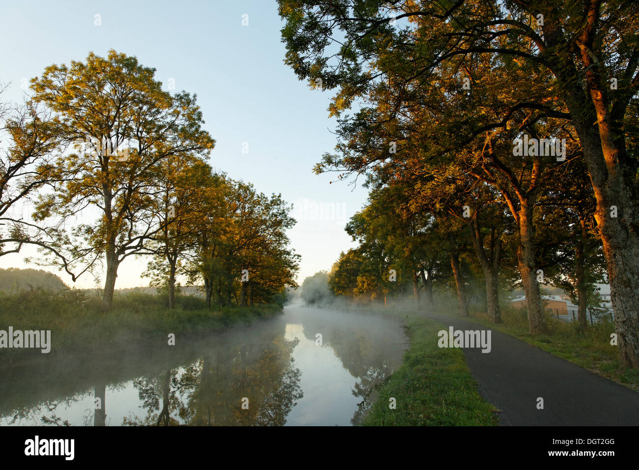 Canal des Vosges, formerly the Canal de l'Est, at PK 88, summit level of the canal, morning mood with morning fog, Les Forges Stock Photo