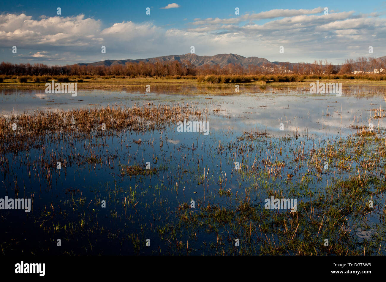 Extensive marshes, or marismas in the Natural Park / Parc Natural dels Aiguamolls de l'Empordà, Catalonia, Spain Stock Photo