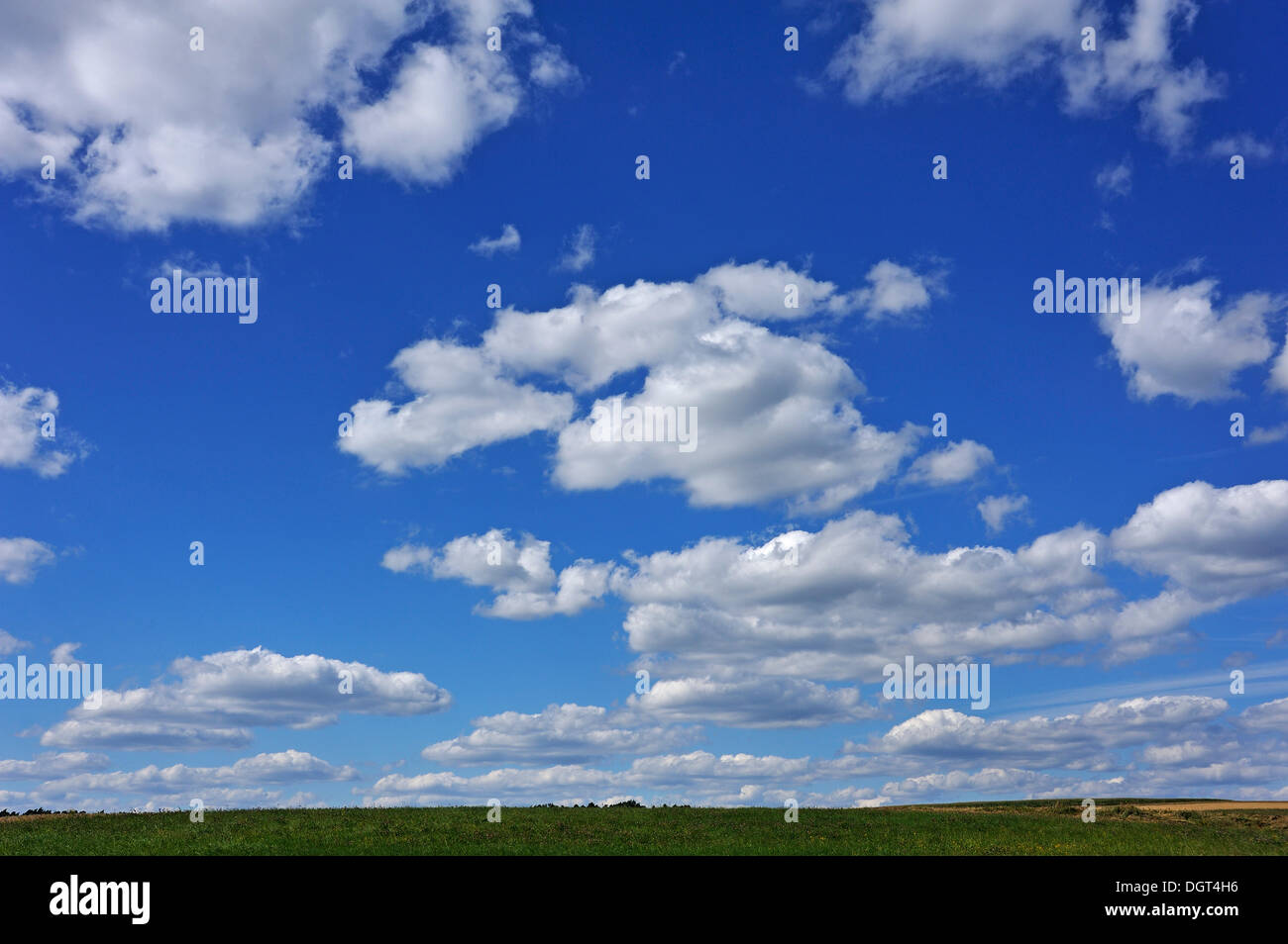 Fair-weather clouds (Cumulus) over a meadow Stock Photo