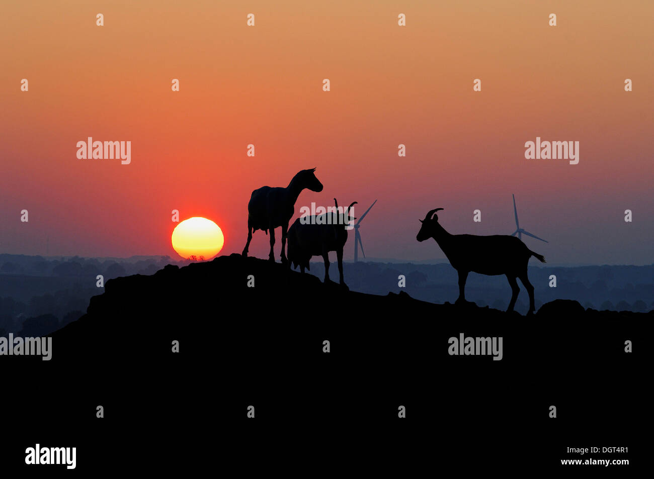 Christmas Village House Silhouette – Lizenzfreie Vektorgrafik | VectorStock, image size:1300x953