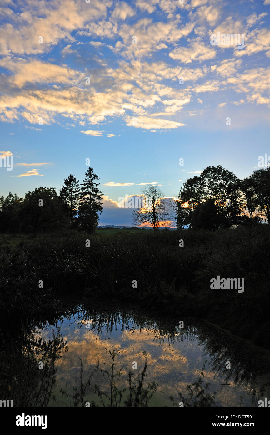 Reflections of sky and trees hi-res stock photography and images - Alamy