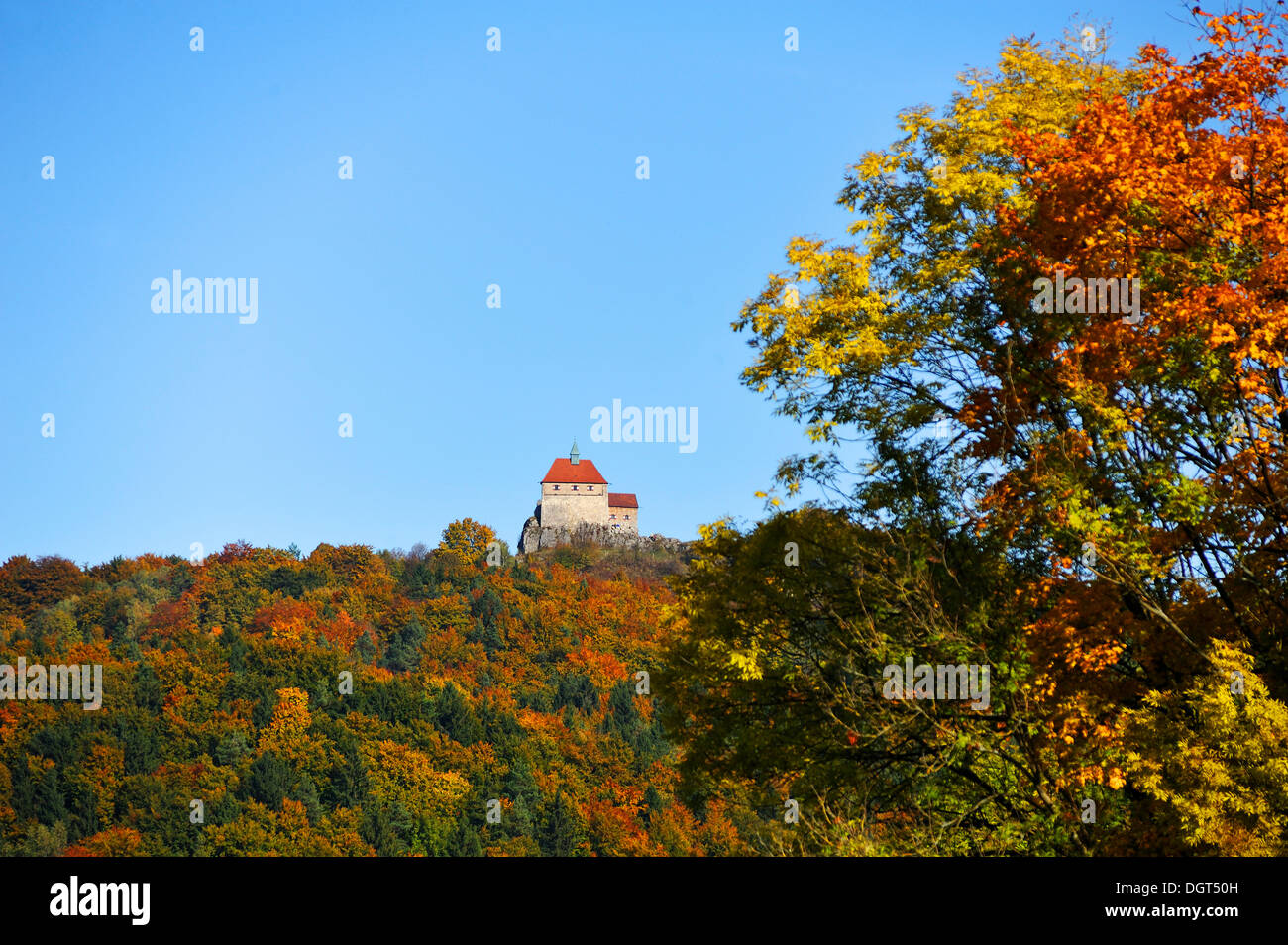 Burg Hohenstein Castle, 11th century, in an autumn forest, seen from Algersdorf, Franconian Switzerland, Middle Franconia Stock Photo