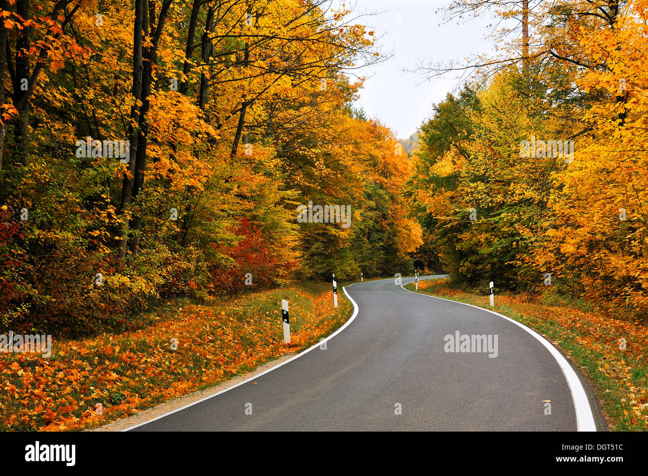A country road leading through colourful mixed woodland in autumn, Rotenberg, Franconian Switzerland, Middle Franconia, Bavaria Stock Photo