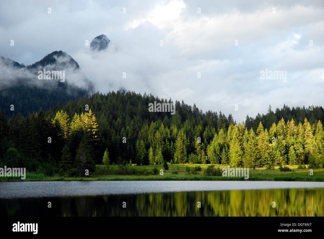 Spechtensee lake, nature preservation area, landscape between Tauplitz and Liezen, Salzkammergut, Styria Alps, Austria, Europe Stock Photo