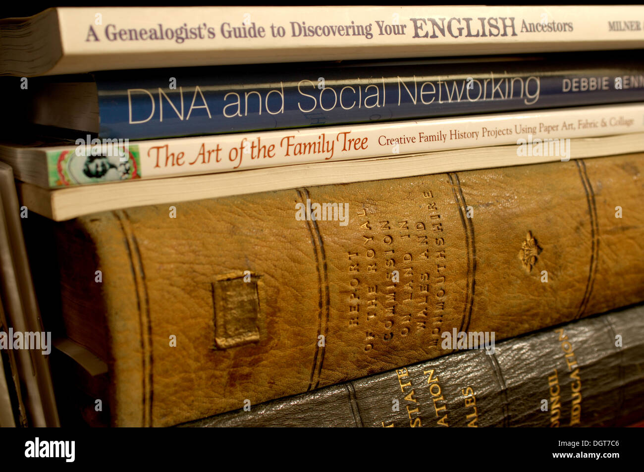 Old Books of Names, Historic data, historical investigation, researching ancestral information
